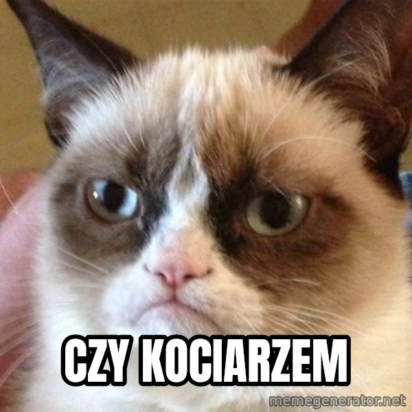 Angry Cat Meme meme: czy kociarzem