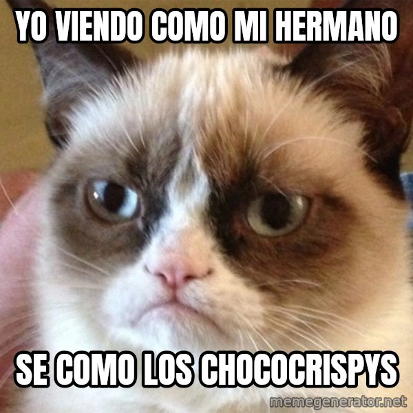 Angry Cat Meme meme: yo viendo como mi hermano / se como los chococrispys