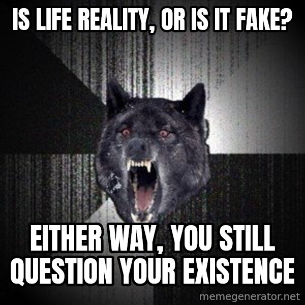 Insanity Wolf meme: Is life reality, or is it fake? / Either way, you still question your existence