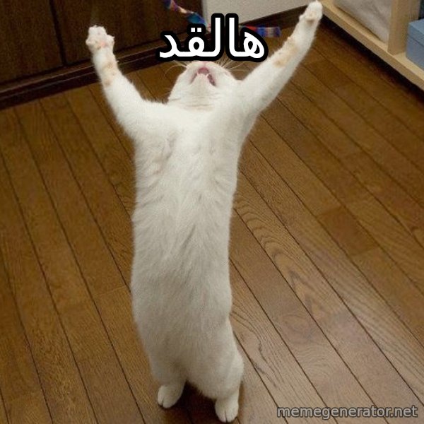 praise the lord cat meme: هالقد