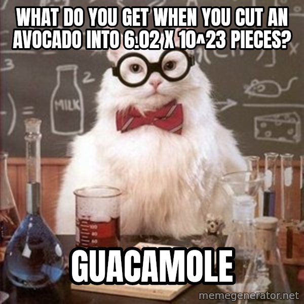 Chemistry Cat meme: What do you get when you cut an avocado into 6.02 X 10^23 pieces? / Guacamole