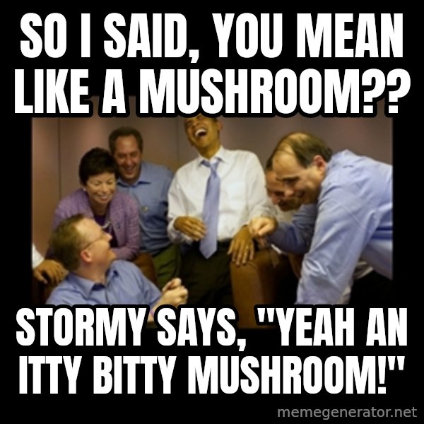 obama laughing  meme: So I said, you mean like a mushroom?? / Stormy says, "yeah an itty bitty mushroom!"