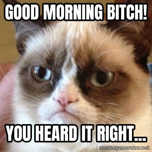 Angry Cat Meme meme: good morning bitch! / You heard it right...