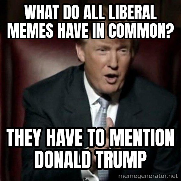 Donald Trump meme: What do all liberal memes have in common? / They have to mention Donald Trump