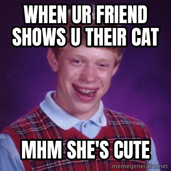 Bad Luck Brian meme: When Ur Friend Shows u their cat / Mhm she's cute