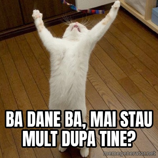 praise the lord cat meme: ba dane ba, mai stau mult dupa tine?