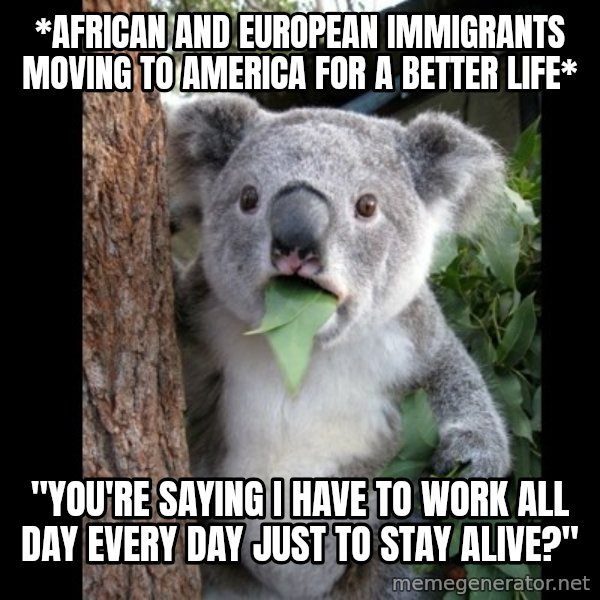 Koala can't believe it meme: *African and European Immigrants moving to America for a better life* / "You're saying I have to work all day every day just to stay alive?"