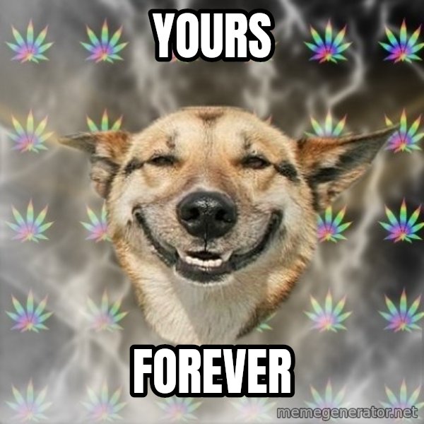 Stoner Dog meme: Yours / Forever