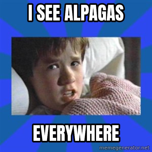 i see dead people meme: I see Alpagas / Everywhere