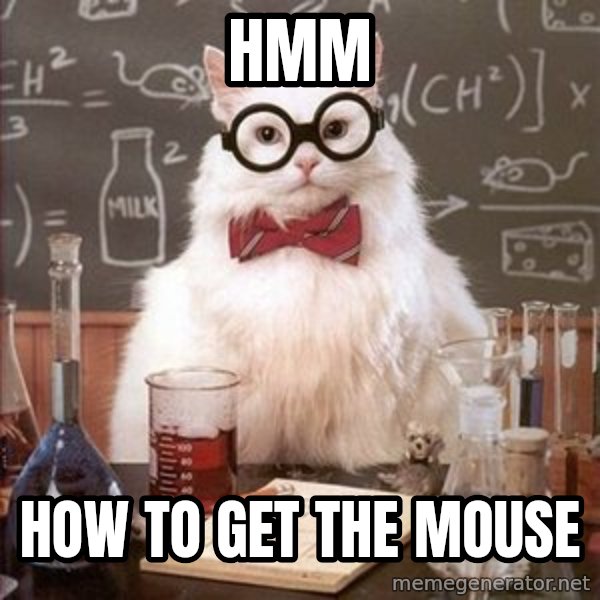 Chemistry Cat meme: hmm / how to get the mouse