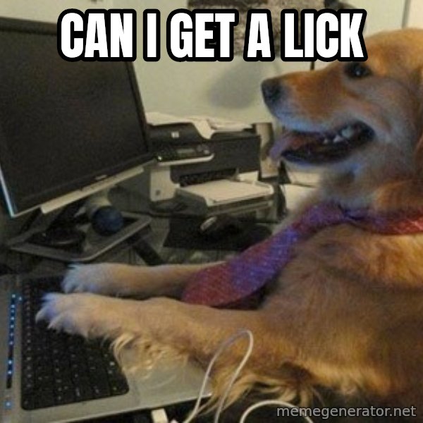 I have no idea what I'm doing - Dog with Tie meme: can i get a lick