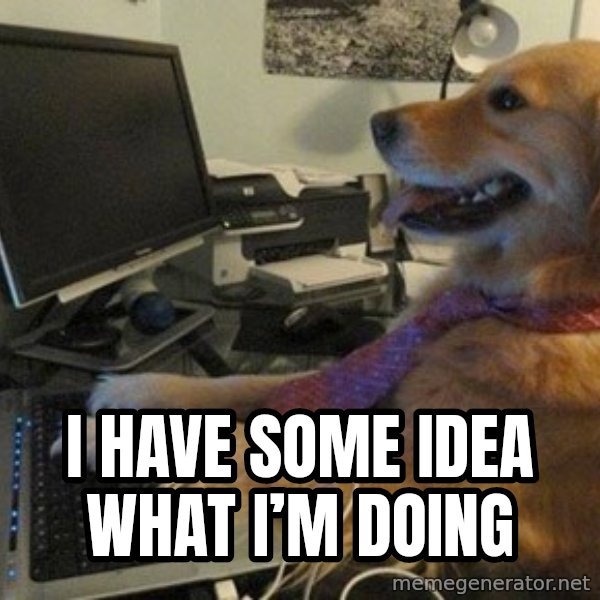 I have no idea what I'm doing - Dog with Tie meme: I HAVE SOME IDEA WHAT I’M DOING