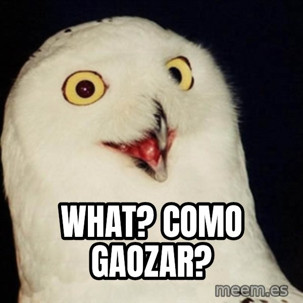 Orly Owl meme: What? Como gaozar?