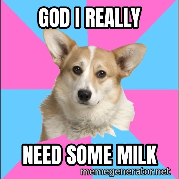Critical Feminist Corgi meme: god i really / need some milk