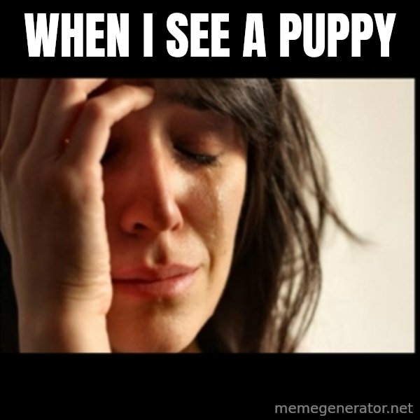 First World Problems meme: When I see a puppy