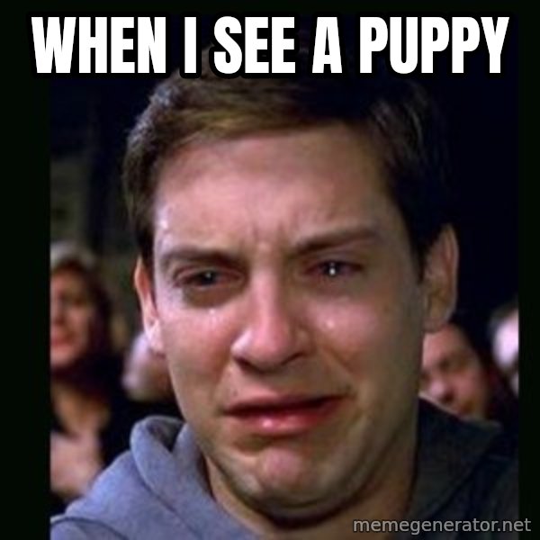 crying peter parker meme: When I see a puppy