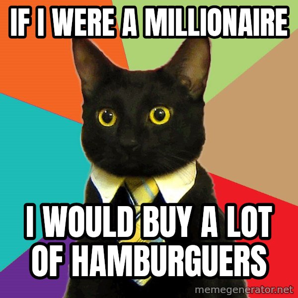 Business Cat meme: If i were a millionaire / i would buy a lot of hamburguers