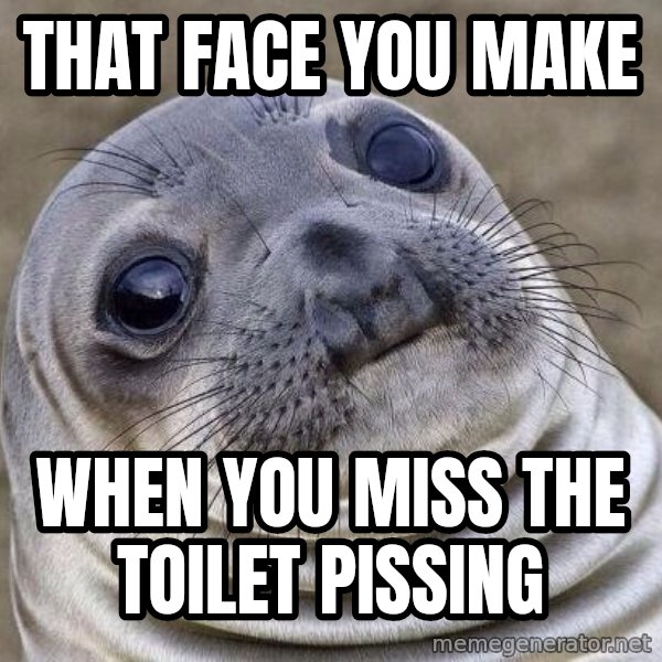 Awkward Seal meme: That face you make / When you miss the toilet pissing