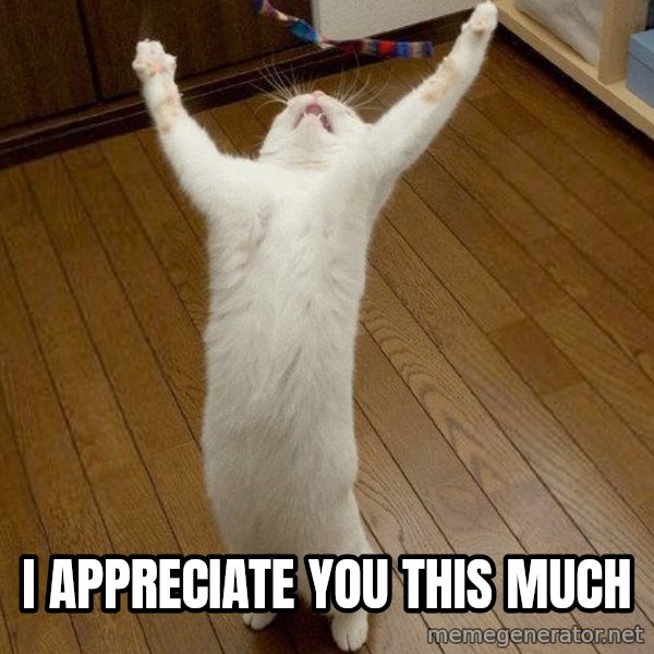 praise the lord cat meme: I appreciate you this much