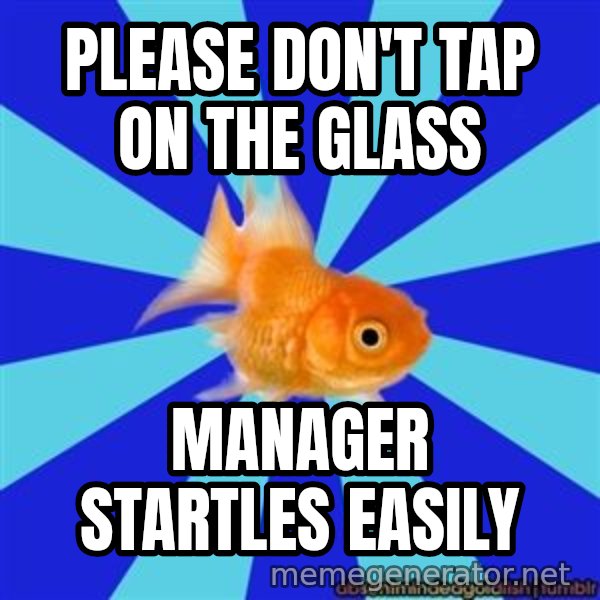 Absentminded Goldfish meme: Please don't tap on the glass / Manager startles easily