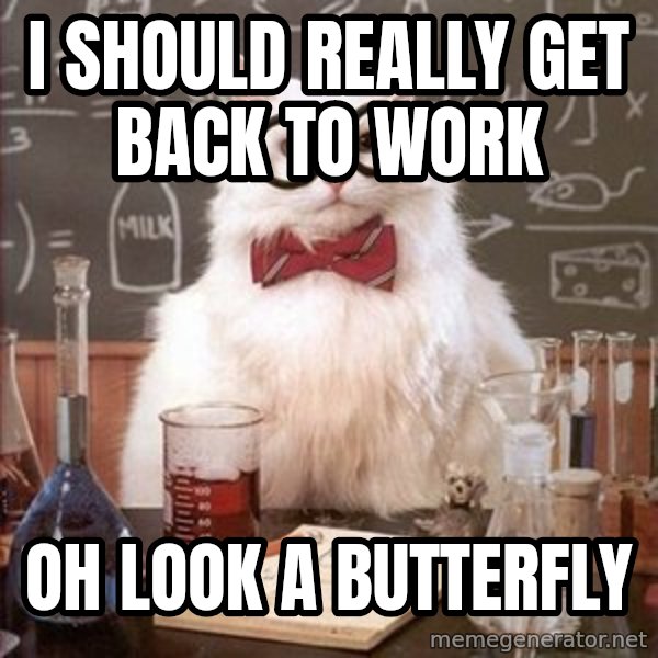 Chemistry Cat meme: I should really get back to work / oh look a butterfly