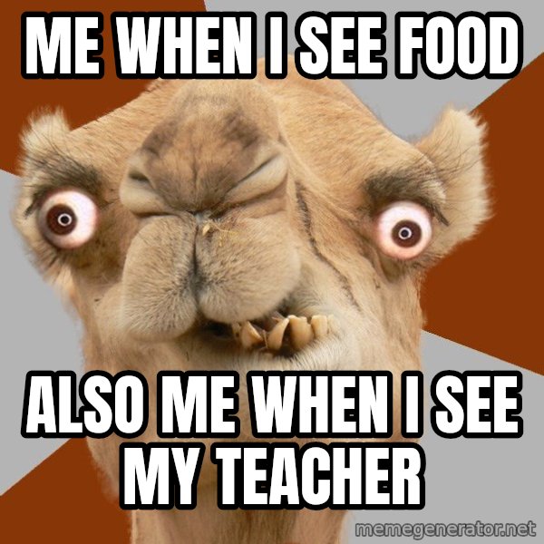 Crazy Camel lol meme: Me when i see food / also Me when i see my teacher