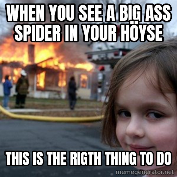 Disaster Girl meme: When you see a big ass spider in your höyse / this is the rigth thing to do
