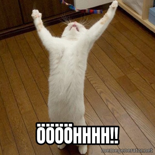 praise the lord cat meme: ÖÖÖÖHHHH!!