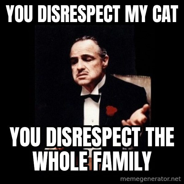 The Godfather meme: You disrespect my cat / you disrespect the whole family