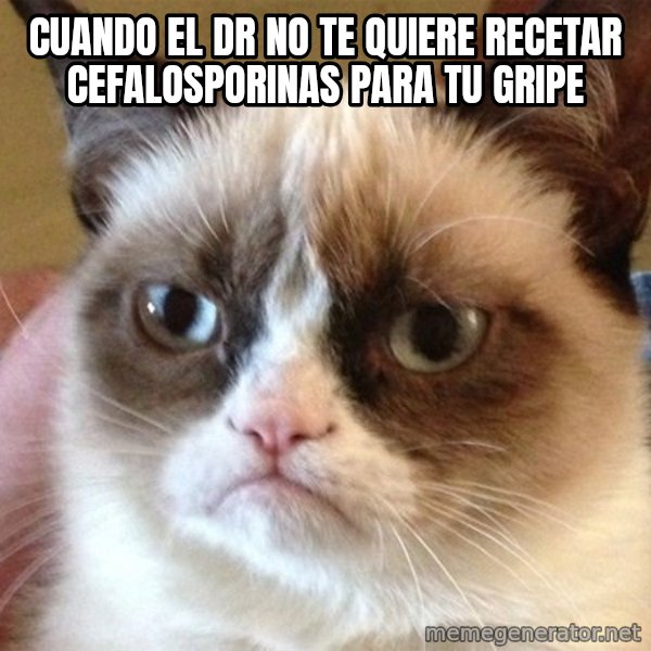 Angry Cat Meme meme: Cuando el Dr no te quiere recetar cefalosporinas para tu gripe