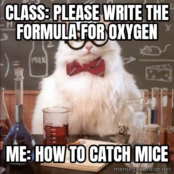 Chemistry Cat meme: Class: Please write the formula for oxygen / me: how to catch mice