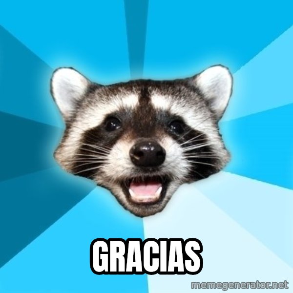 Lame Pun Coon meme: gracias