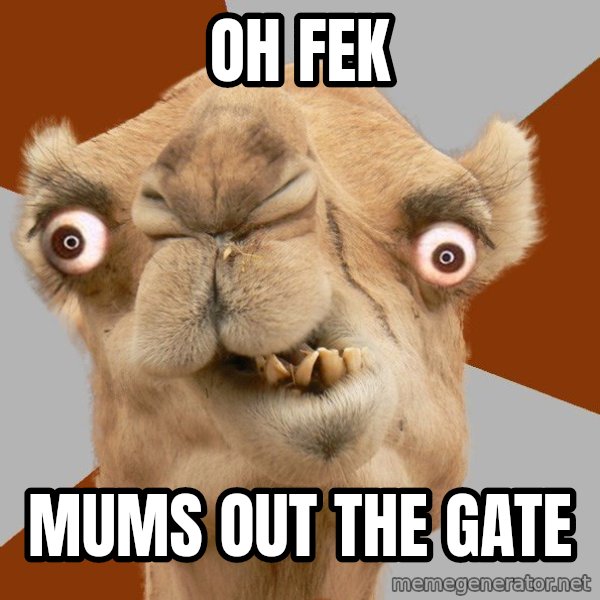 Crazy Camel lol meme: OH FEK / MUMS OUT THE GATE