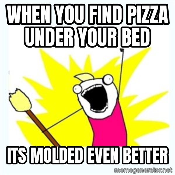 All the things meme: When you find pizza under your bed / ITS molded EVEN BETTER