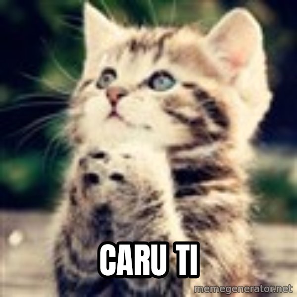 Praying Kitten meme: Caru ti