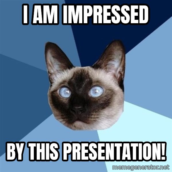 Chronic Illness Cat meme: I am impressed / by this presentation!
