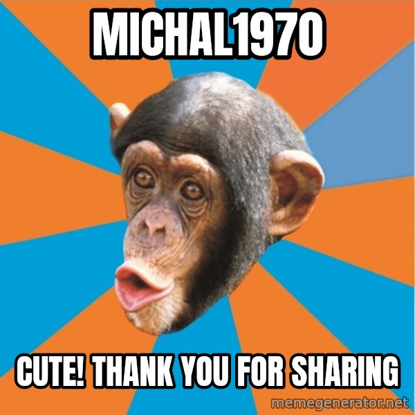 Stupid Monkey meme: Michal1970 / Cute!  Thank you for sharing