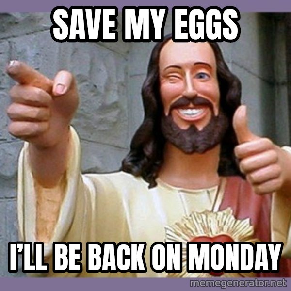 buddy jesus meme: Save my eggs / I’ll be back on Monday