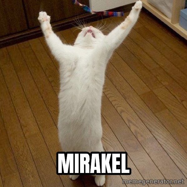 praise the lord cat meme: Mirakel