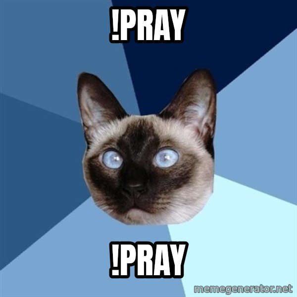 Chronic Illness Cat meme: !pray / !pray