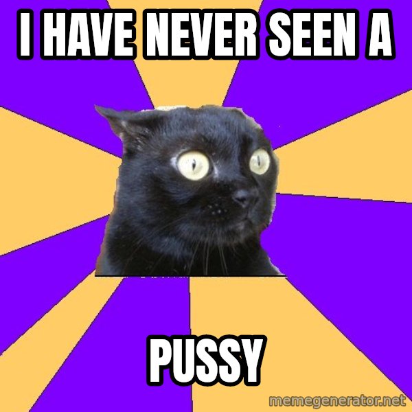 Anxiety Cat meme: I have never seen a / Pussy