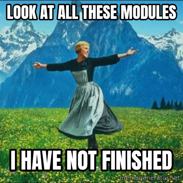 Look at all the things meme: look at all these modules / i have not finished
