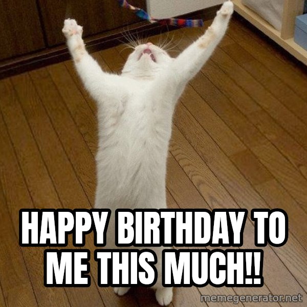 praise the lord cat meme: happy birthday to me this much!!