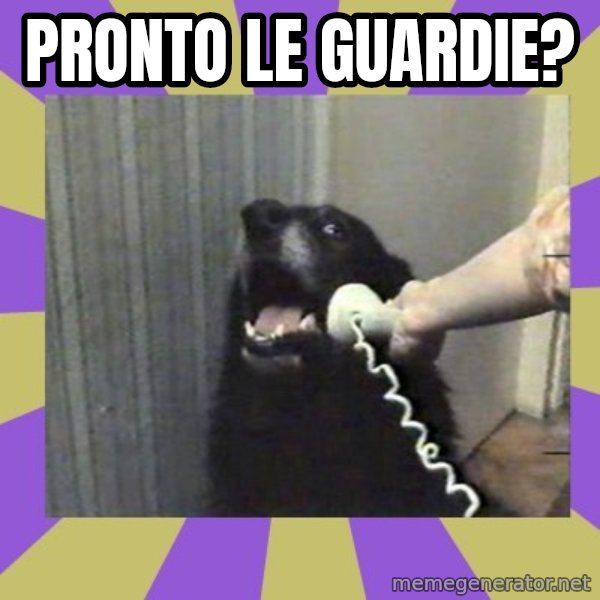 Yes, this is dog! meme: pronto le guardie?