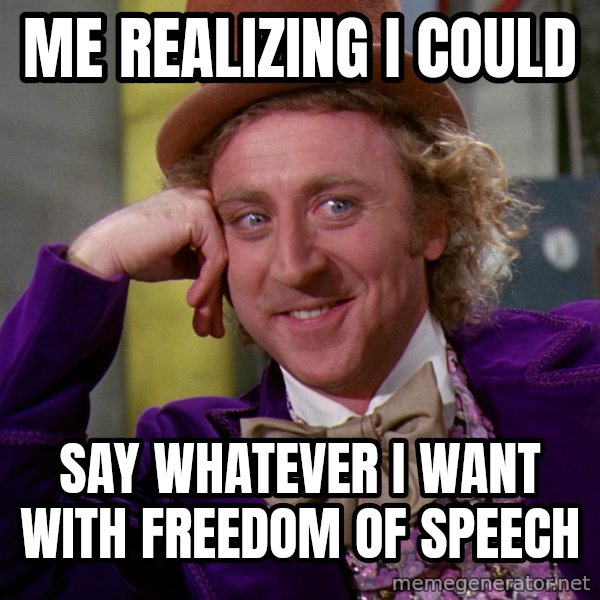 Willy Wonka meme: me realizing i could / say whatever i want with freedom of speech