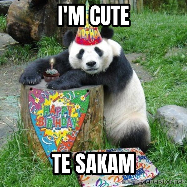 Happy Birthday Panda meme: I'm cute / te sakam