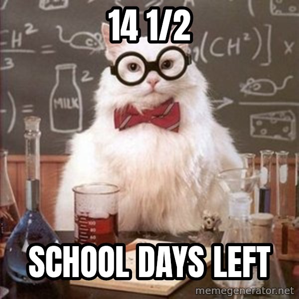 Chemistry Cat meme: 14 1/2 / School Days Left