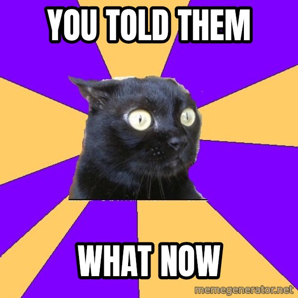 Anxiety Cat meme: you told them / what now