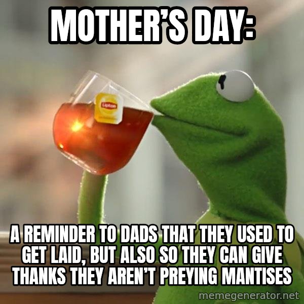 Kermit The Frog Drinking Tea meme: Mother’s Day: / A reminder to dads that they used to get laid, but also so they can give thanks they aren’t preying mantises