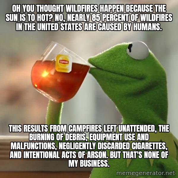 Kermit The Frog Drinking Tea meme: Oh you thought wildfires happen because the sun is to hot? No, nearly 85 percent of wildfires in the United States are caused by humans. / This results from campfires left unattended, the burning of debris, equipment use and malfunctions, negligently discarded cigarettes, and intentional acts of arson. But that's none of my business.